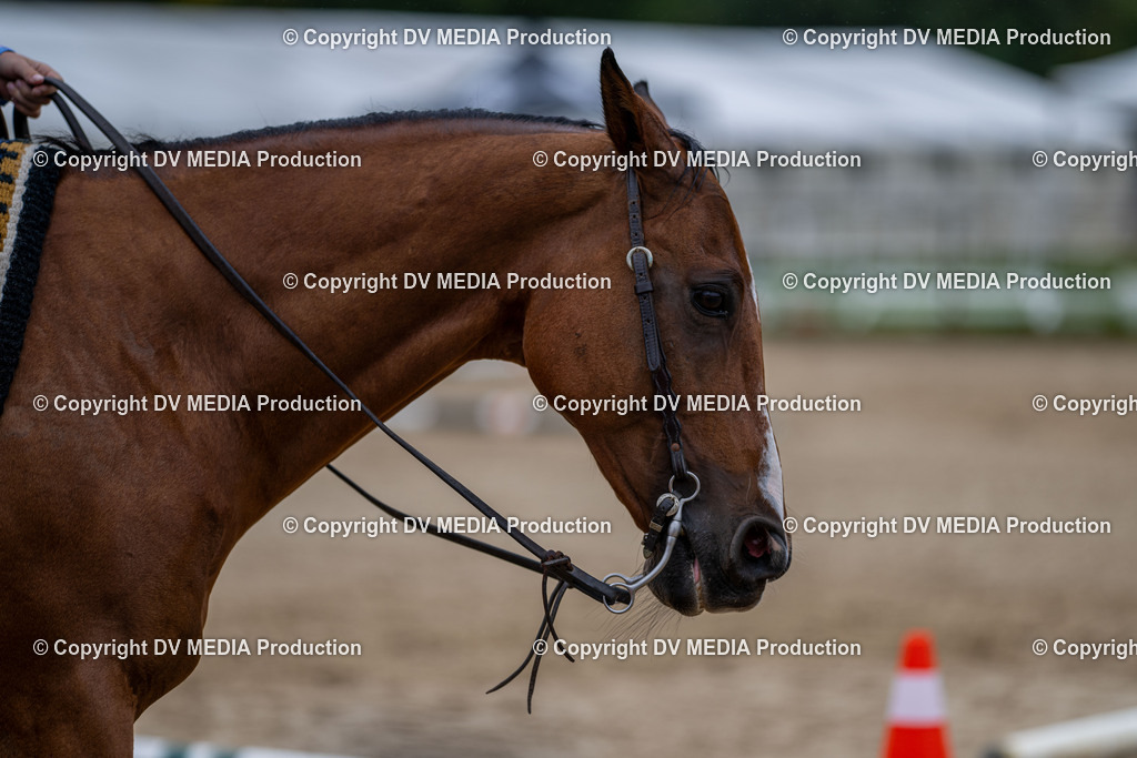 LM Heiligenwald Tag 3-095 | dv-media-shop - Realisiert mit Pictrs.com