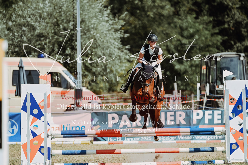 DSC_9678 | Pferde- und Turnierfotografie in Westsachsen. Pferdeportraits, Auftragszeichnungen und intuitive Kunst.