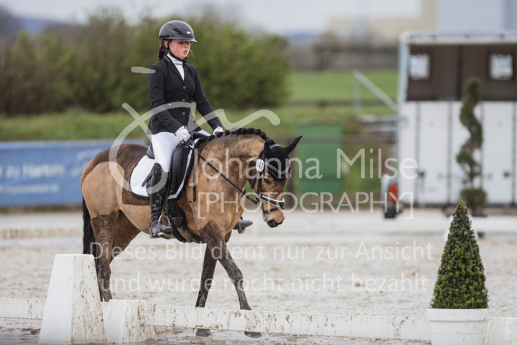 240401_Fruehlingsfest_A1-Dressur-437 | Deine schönsten Turniermomente als professionelle Fotos! Entdecke hochwertige Pferdesport-Fotografie im Online-Shop. Jetzt Fotos finden & bestellen!