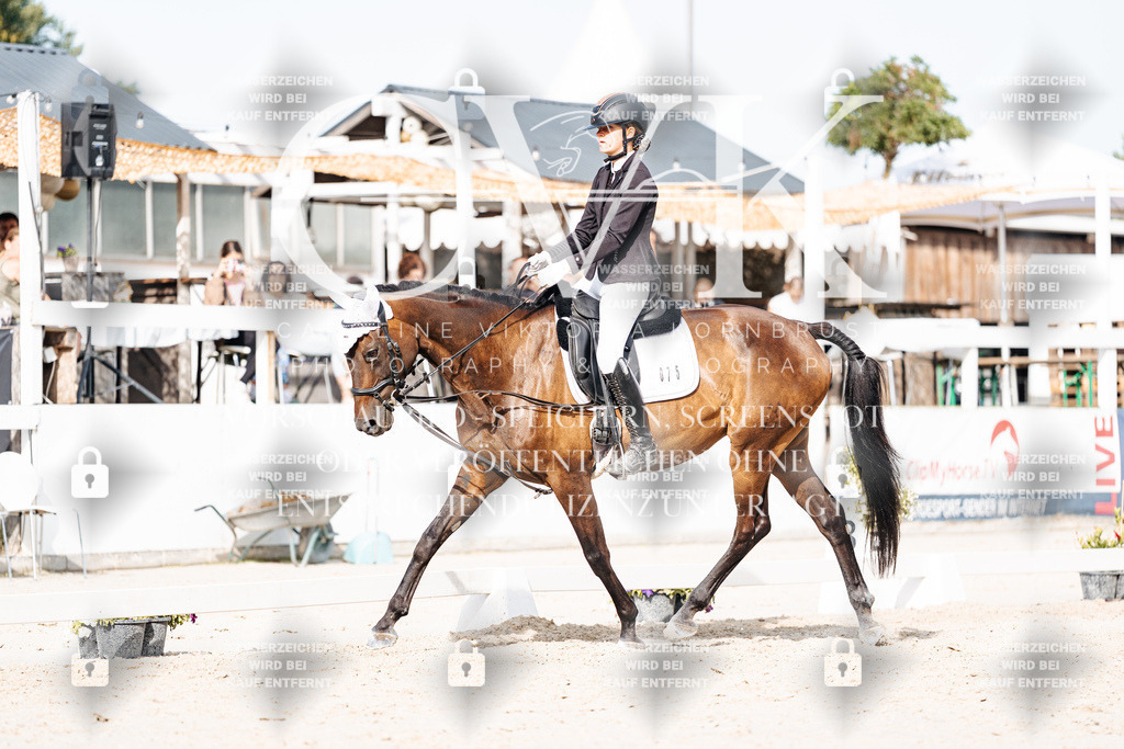 CK905311 | Turnierfotografie Pferdefotografie Trier Rheinland-Pfalz Pferdesport Reitsport Tierfotografie Sportfotografie Pferdevideo Pferdevideografie Equestrianvideography equestrianphotography  - Realisiert mit Pictrs.com