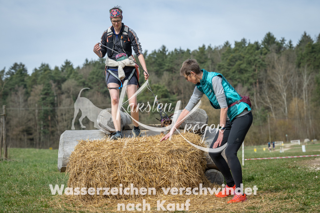 1113_ZZ96540 | kk-dogfotos