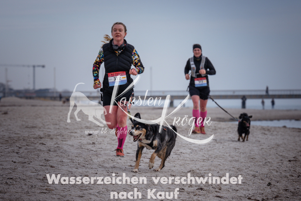 1138_ZZ99842 | kk-dogfotos
