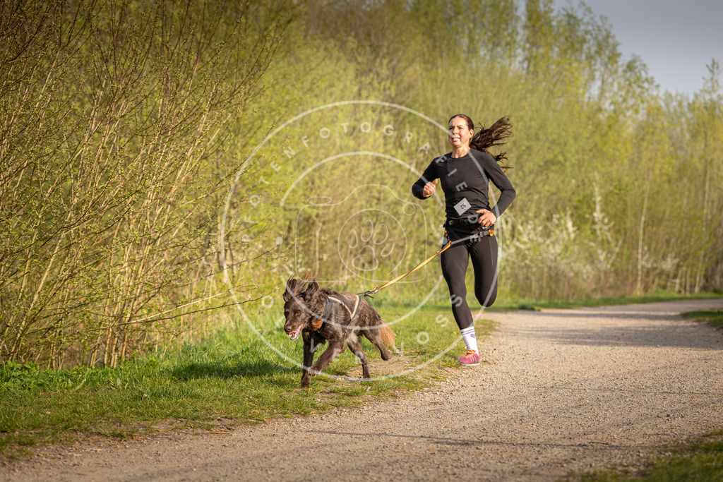 Pfotenfotografie_DV3A4617 | Hundefotografie, Tierfotograf, Pfotenfotografie, Fotoshooting Hund, Hunde Portrait, Hundesport, Hundeportraits, Heideshooting, Hunde, Sportfotograf, Hundefotograf, Turnierhundsport, THS,  - Realisiert mit Pictrs.com