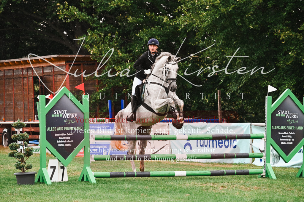 DSC_6628 | Pferde- und Turnierfotografie in Westsachsen. Pferdeportraits, Auftragszeichnungen und intuitive Kunst.