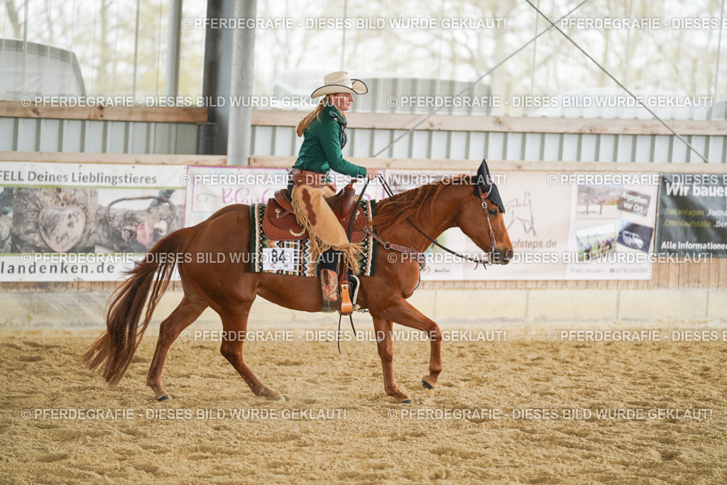 DSC04612 | Pferdegrafie