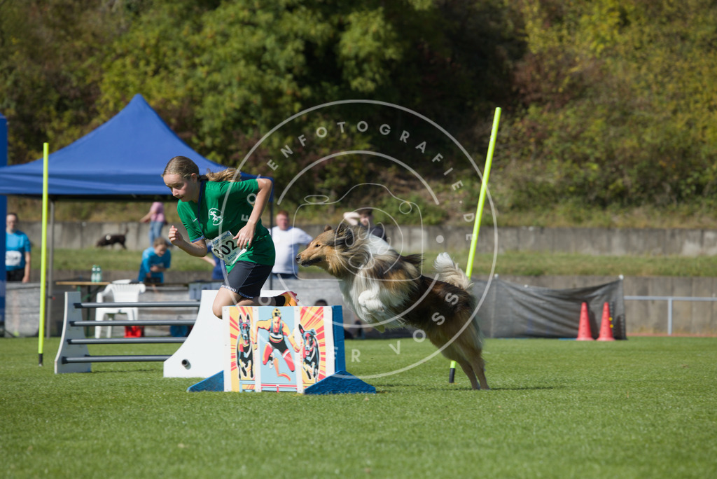0L8A7320 | Hundefotografie, Tierfotograf, Pfotenfotografie, Fotoshooting Hund, Hunde Portrait, Hundesport, Hundeportraits, Heideshooting, Hunde, Sportfotograf, Hundefotograf, Turnierhundsport, THS,  - Realisiert mit Pictrs.com