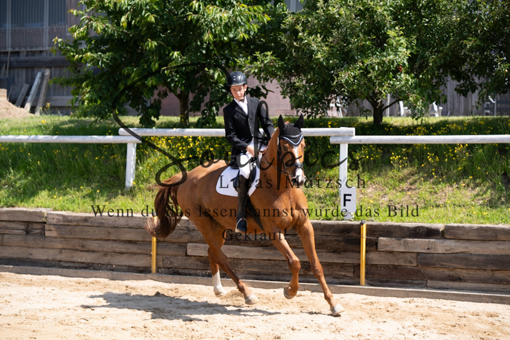 A7V07984 | Pferdefotograf