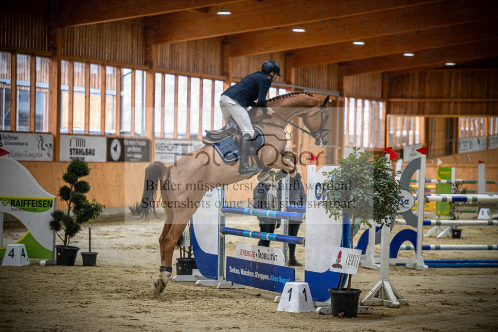 DOS_1678 | Entdecke hochwertige Reitturnierfotos von Foto Oger. Professionell, emotional und authentisch – jetzt Lieblingsmomente im Shop bestellen.Deutschlandweite Turnierfotografie. - Realisiert mit Pictrs.com
