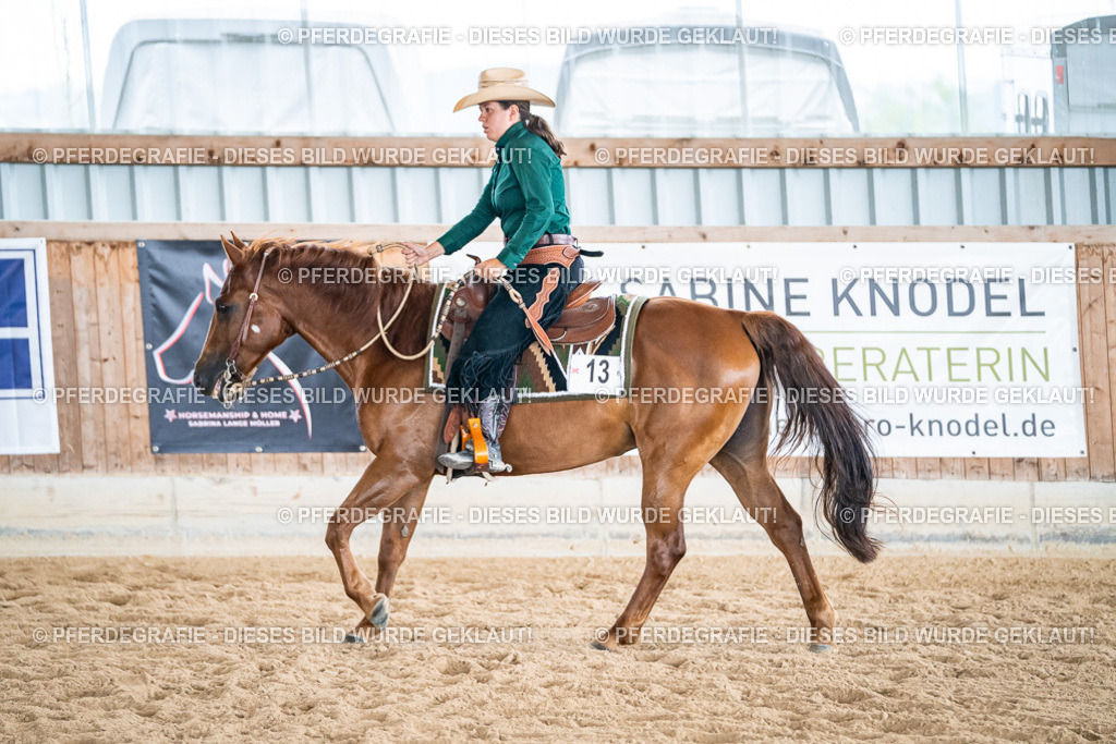 DSC03769 | Pferdegrafie