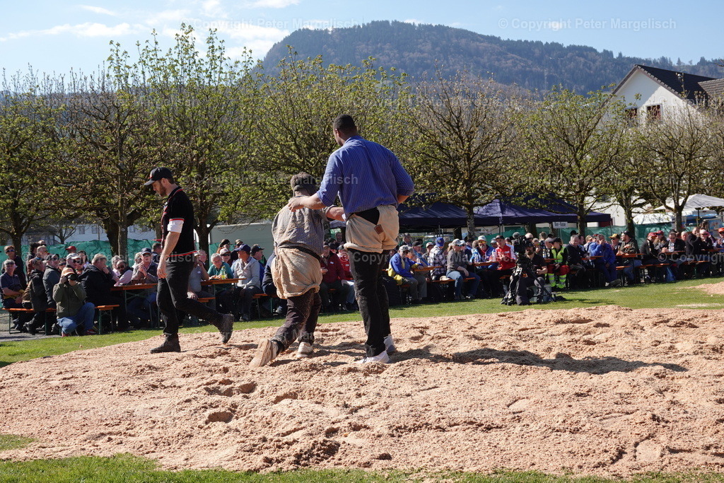 DSC02266 | Schwingen - Realisiert mit Pictrs.com