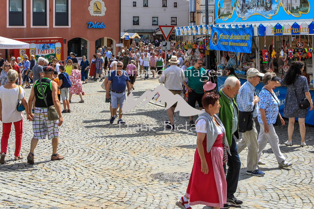 OE7A3840 | voll ist es in Regen