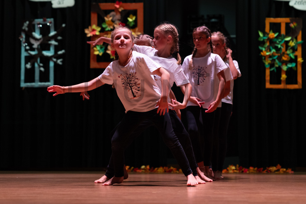 _DSC1970 | Tinu Müller Fotografie- Bildershop - Realisiert mit Pictrs.com