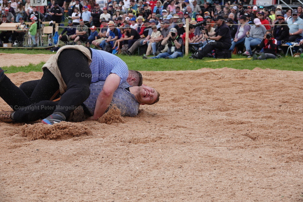 DSC01041 | Schwingen - Realisiert mit Pictrs.com