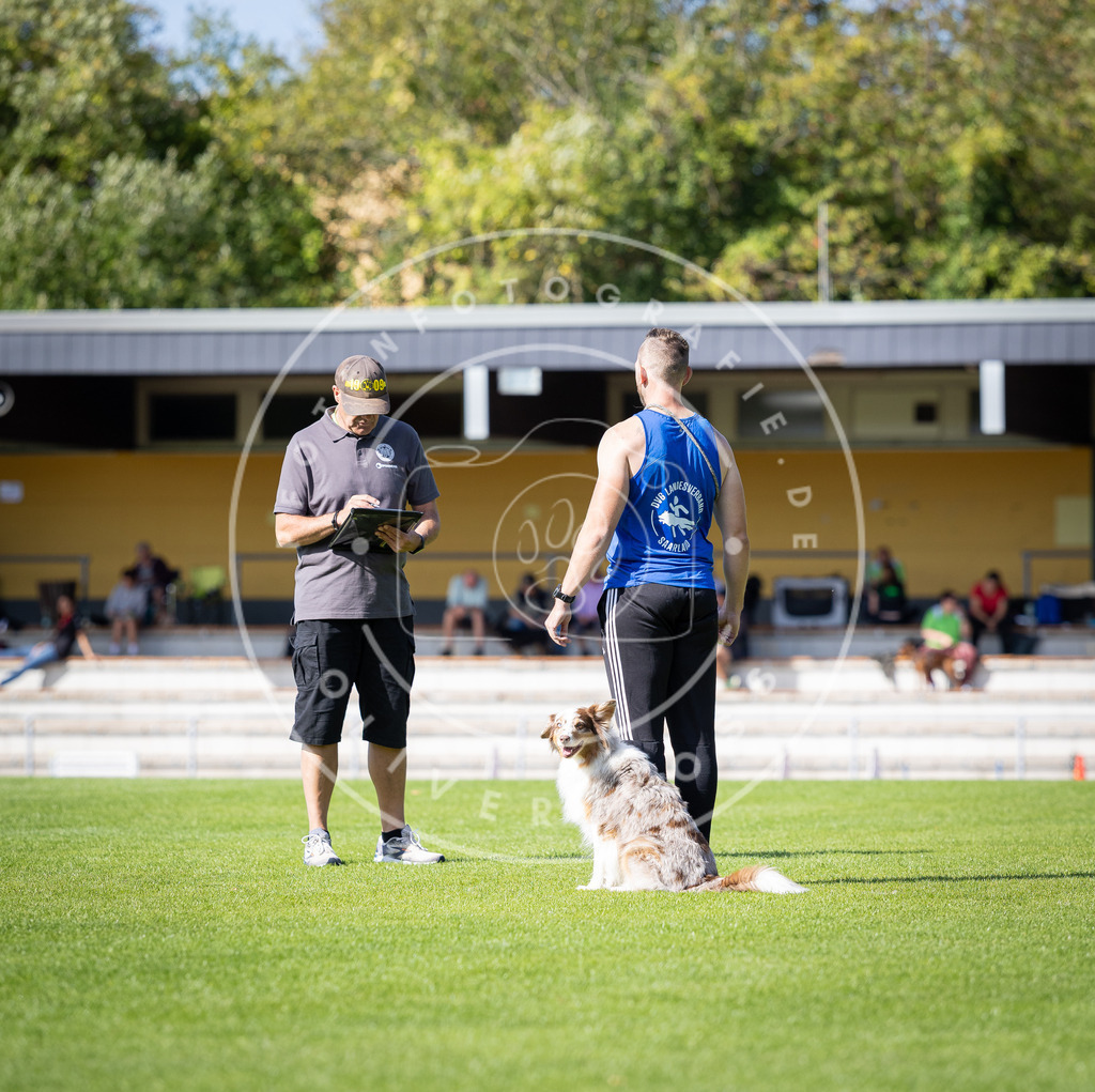 Pfotenfotografie_DV3A4959 | Hundefotografie, Tierfotograf, Pfotenfotografie, Fotoshooting Hund, Hunde Portrait, Hundesport, Hundeportraits, Heideshooting, Hunde, Sportfotograf, Hundefotograf, Turnierhundsport, THS,  - Realisiert mit Pictrs.com