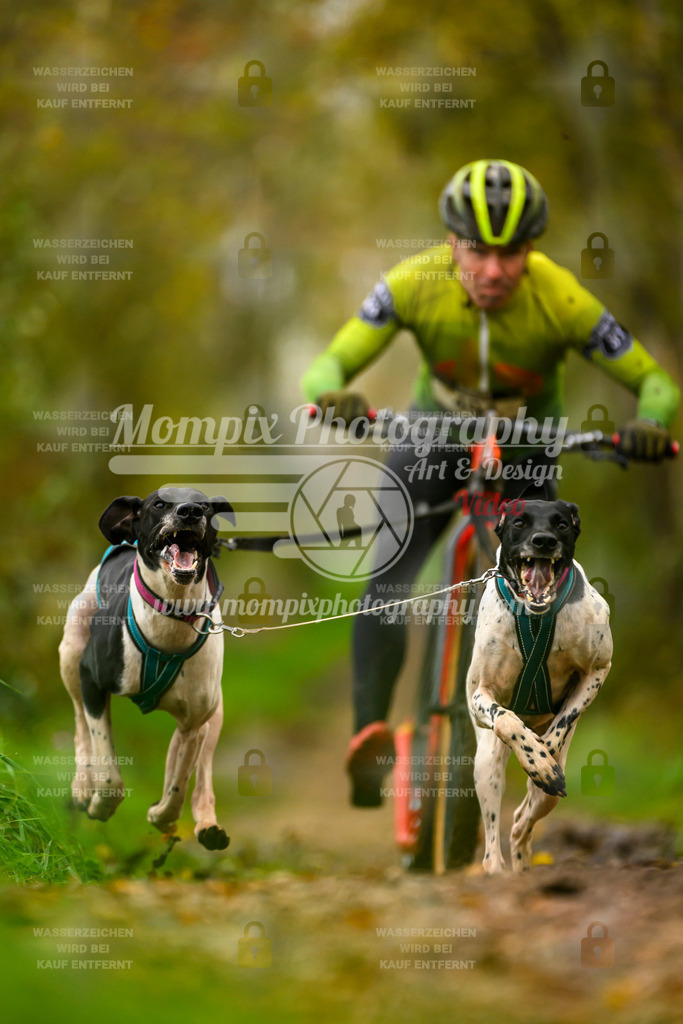 MompixPhotography_20TSB_E6_DS2-6 | PayLife