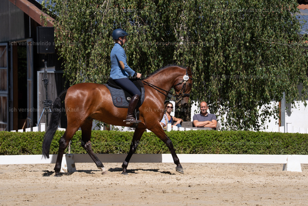 WL_DR_106_sinafilmart_IN08002 | working equitationturnier fotograf videograf stoibphotography marixx film working equitation deutschland reitsport turnierfotografie eventfotografie equestrian events