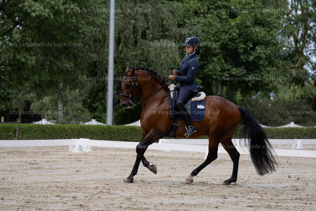 WS_DR_46_sinafilmart_IN02357 | working equitationturnier fotograf videograf stoibphotography marixx film working equitation deutschland reitsport turnierfotografie eventfotografie equestrian events