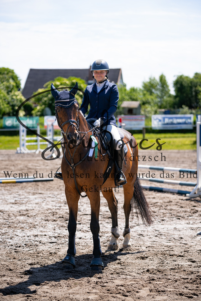 A7V04351 | Pferdefotograf