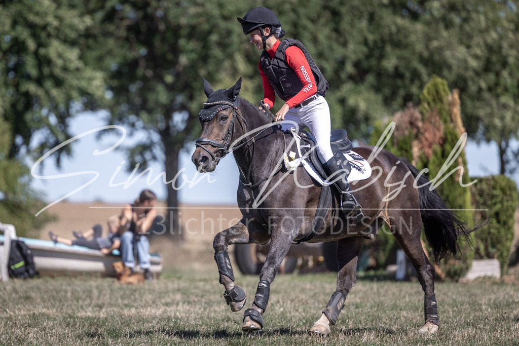 20260906-_3LI4830 | Tierfotografie Pferde, Hunde, Katzen, Haustiere.
Turnierfotografie Reitturniere, Reiten, Springreiten, Dressur in Hanau, dem Main-Kinzig-Kreis und dem Rhein-Main- Gebiet um Frankfurt