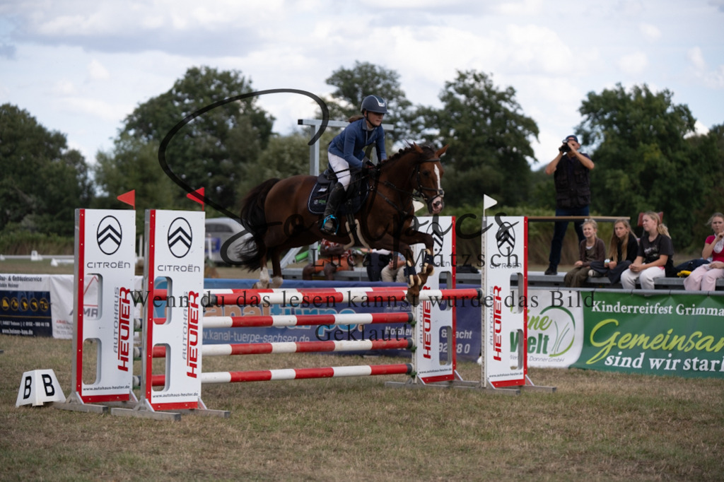 A7V09441 | Pferdefotograf