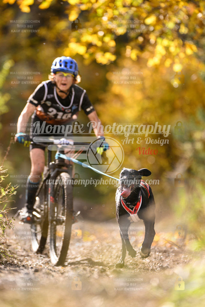MompixPhotography_ICF_WC_2024_SA_Bike_-339 | PayLife