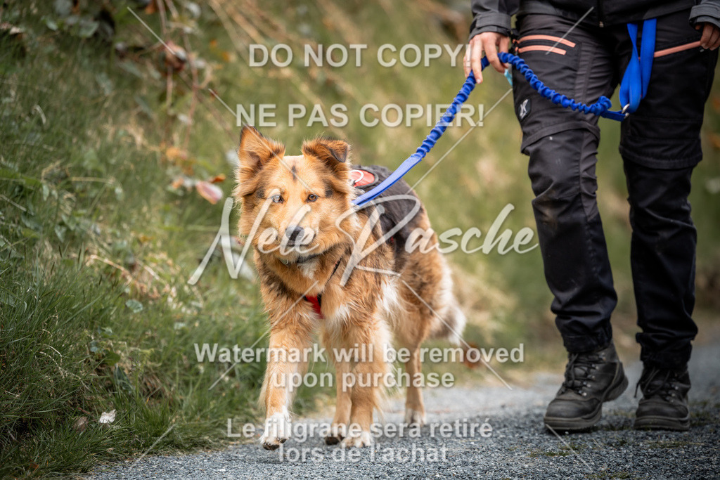 nelerasche_SaAbends_51 | nelerasche - Realisiert mit Pictrs.com