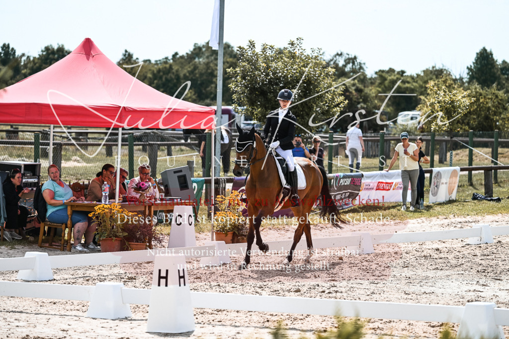 DSC_5158 | Pferde- und Turnierfotografie in Westsachsen. Pferdeportraits, Auftragszeichnungen und intuitive Kunst.