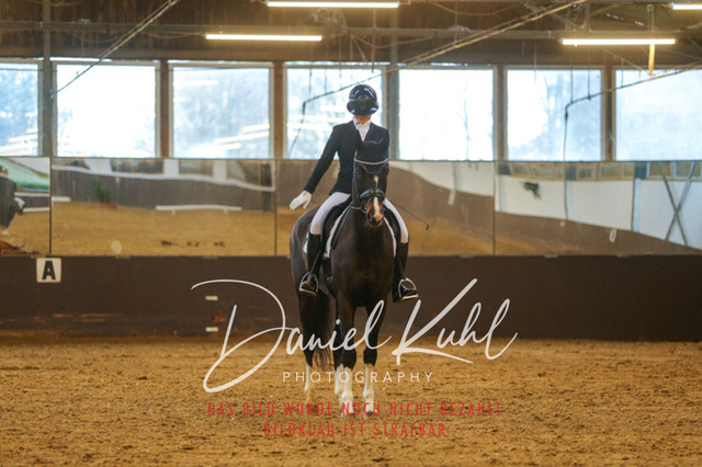 IMG_7227 | Turniersportfotografie; Pferdefotografie; Dressurfotografie