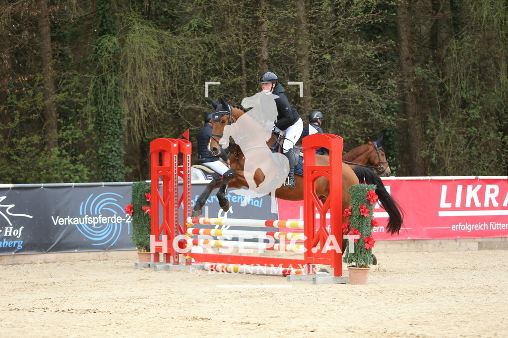 DL2Q1681 | Willkommen bei Brunnmayr - Design & Fotografie – Ihrem Spezialisten für Reitturniere und Pferdeveranstaltungen in Oberösterreich, Salzburg und Bayern! Seit über 17 Jahren sind wir leidenschaftlich dabei.