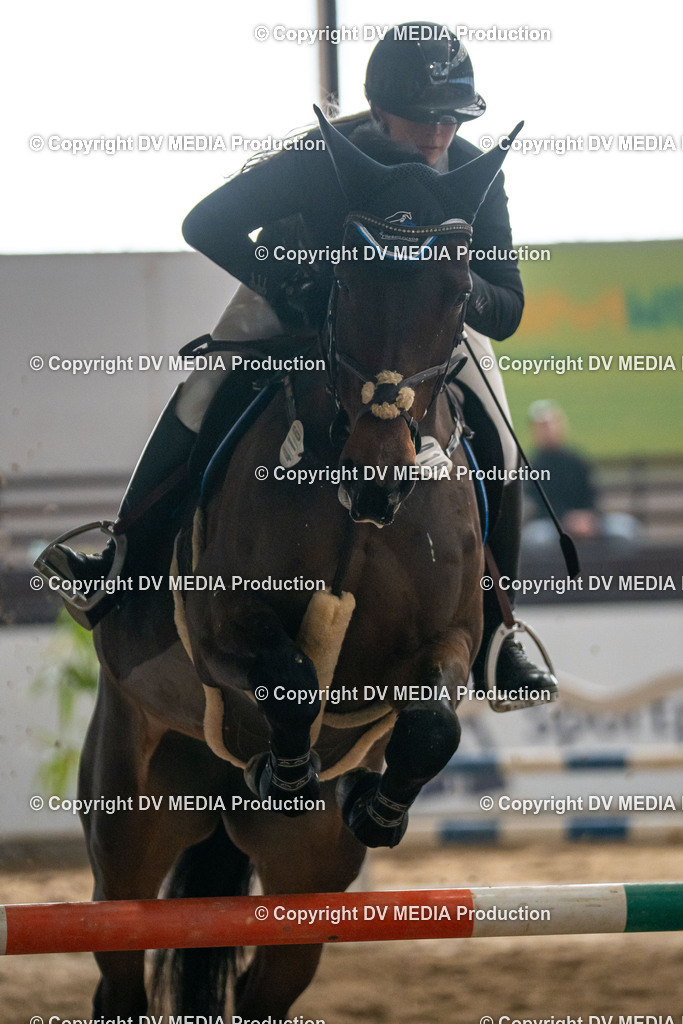 Kranichstein Tag 2-477 | dv-media-shop - Realisiert mit Pictrs.com