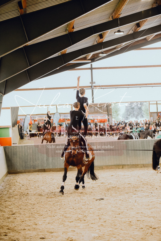 DSC_6921 | Pferde- und Turnierfotografie in Westsachsen. Pferdeportraits, Auftragszeichnungen und intuitive Kunst.