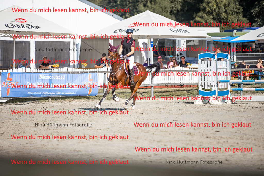BK1A7223 | Turnierbilder Turnierfotos Nina Hüffmann Turnierfotografie Pferdefotografie Tierzeichnung Haustierzeichnung Pferdezeichnung Hundezeichnung Videograf  - Realisiert mit Pictrs.com