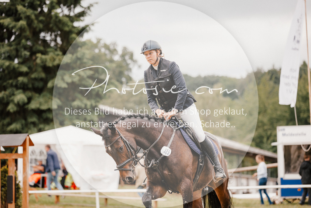 3I6A2458 | Stimmungsvolle Portraits und Reitsportfotografie im Ruhrgebiet und im Münsterland.

Pferdefotografie, Hundefotografie, Tierfotografie, Reportagen, Portraits von Tier und Mensch, Turnierfotografie in Bochum, Recklinghausen, Marl, Haltern am See, Dülmen.. - Realisiert mit Pictrs.com