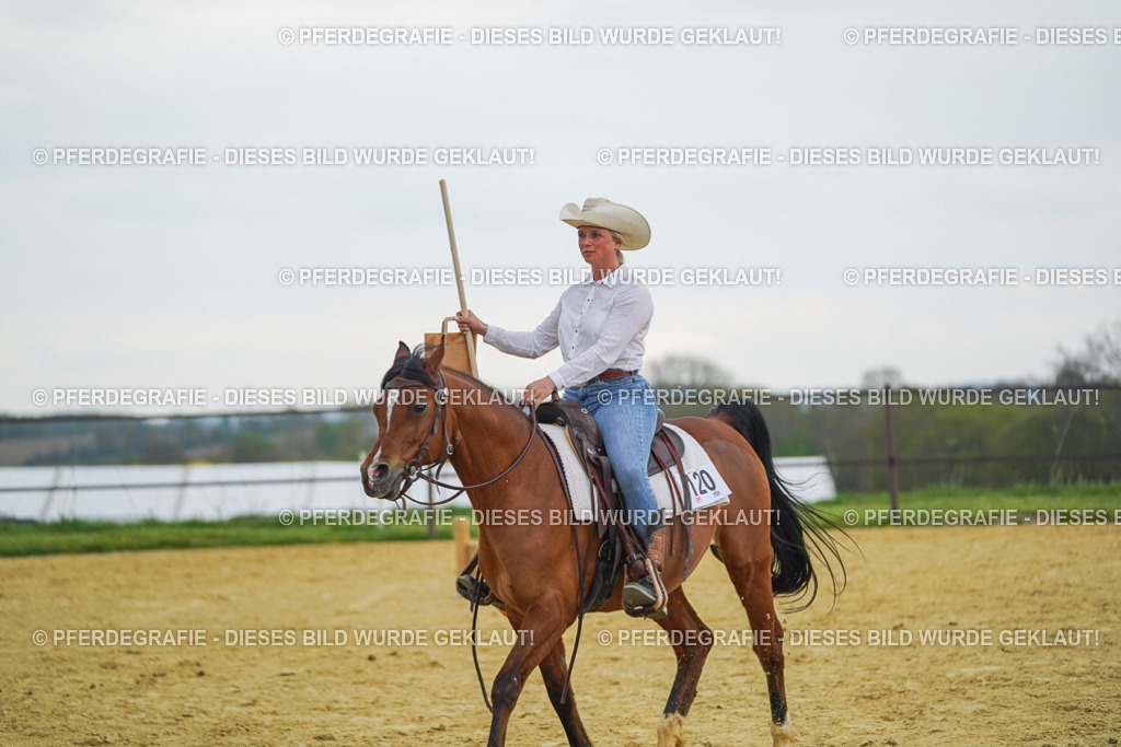 DSC08342 | Pferdegrafie