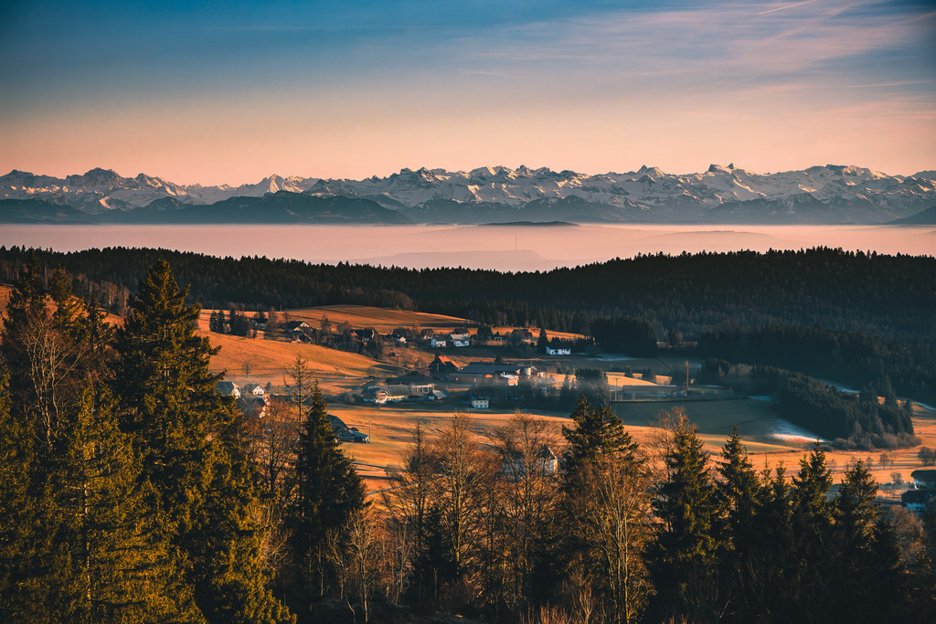 Alpenpanorama bei Sankt Blasien im Südschwarzwald | Traumhafte Fernsicht  bei Sankt Blasien im Südschwarzwald bis zu den Alpen - Realisiert mit Pictrs.com