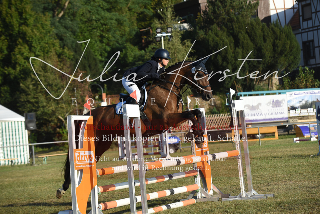 DSC_4890 | Pferde- und Turnierfotografie in Westsachsen. Pferdeportraits, Auftragszeichnungen und intuitive Kunst.