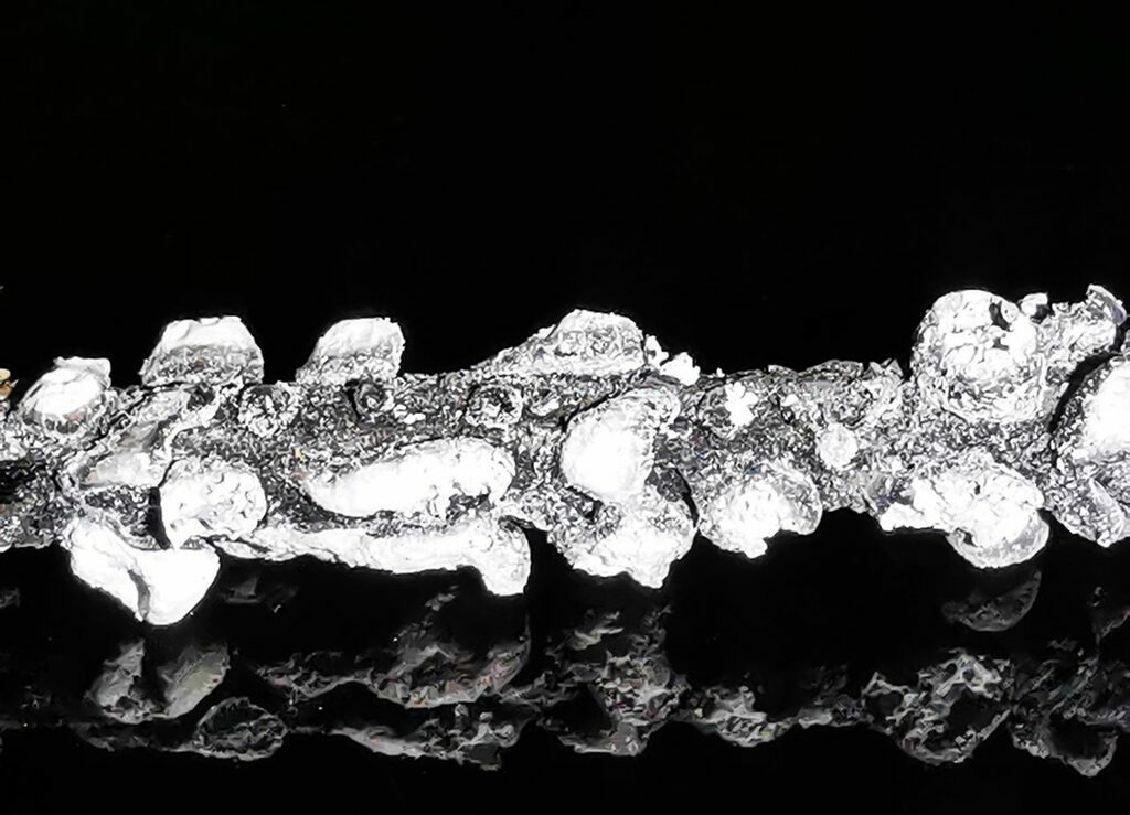 PSX_20230102_224937 | mtkfoto_ - Realisiert mit Pictrs.com