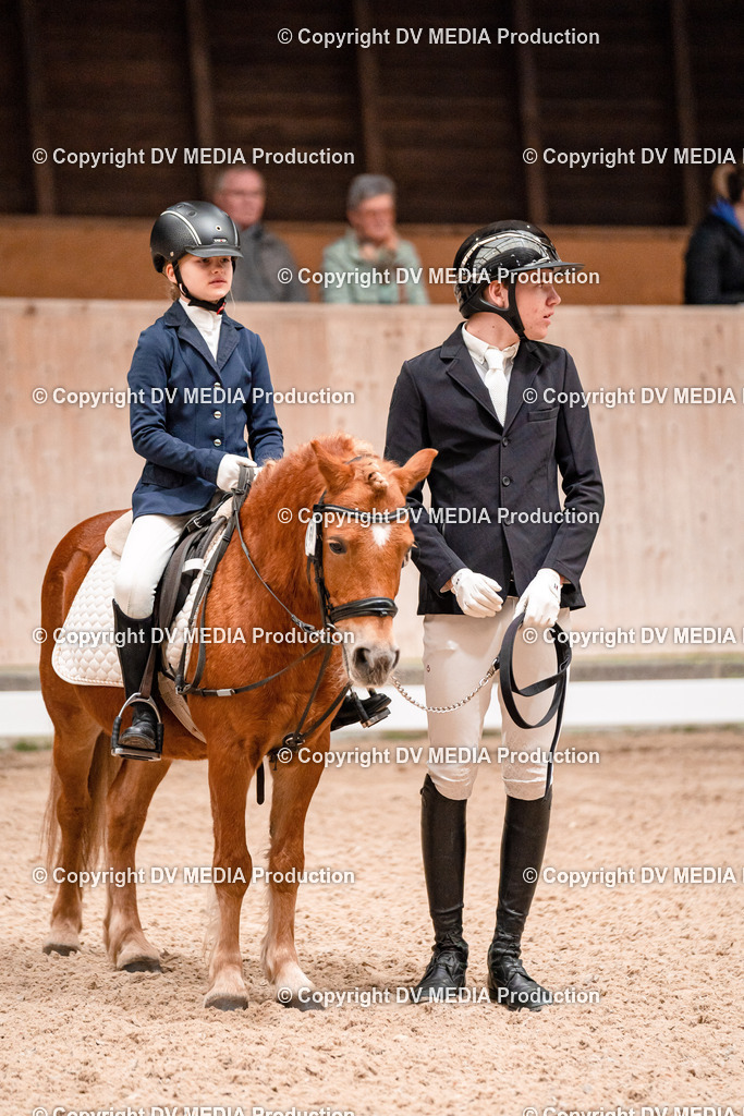 Dressur Tag 3-508 | dv-media-shop - Realisiert mit Pictrs.com