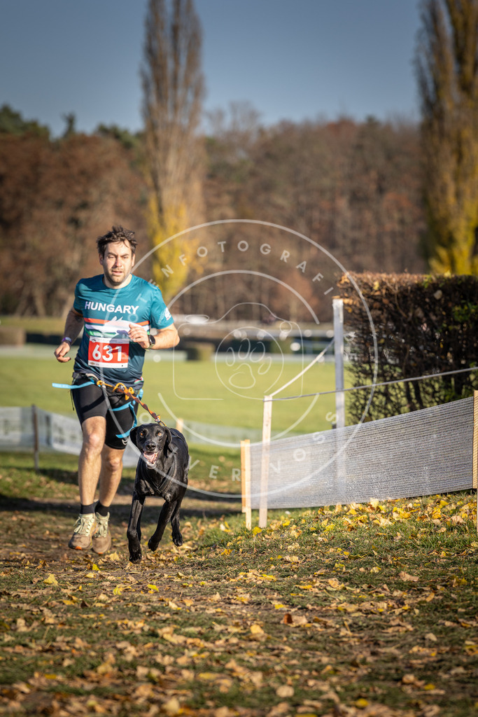 CaniXpix_DV3A0125 | Hundefotografie, Tierfotograf, Pfotenfotografie, Fotoshooting Hund, Hunde Portrait, Hundesport, Hundeportraits, Heideshooting, Hunde, Sportfotograf, Hundefotograf, Turnierhundsport, THS,  - Realisiert mit Pictrs.com