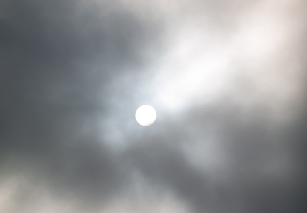 PSX_20230122_221626 | OLYMPUS DIGITAL CAMERA - Realisiert mit Pictrs.com