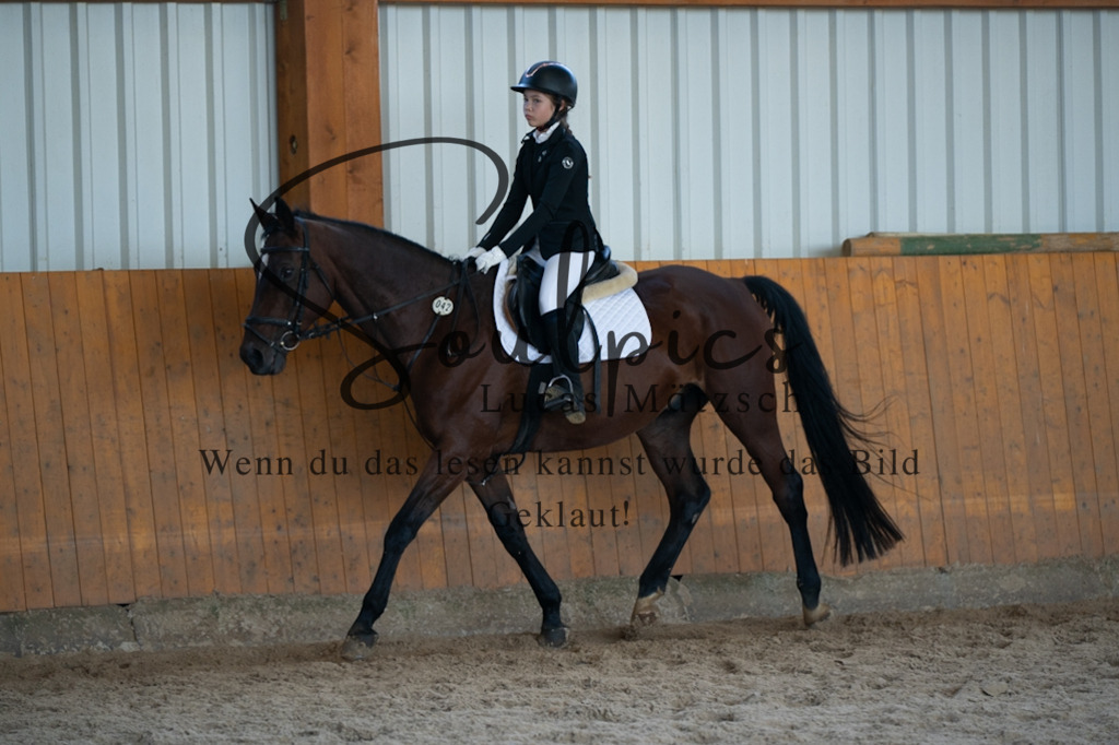 A7V02056 | Turnier/Reitfotograf