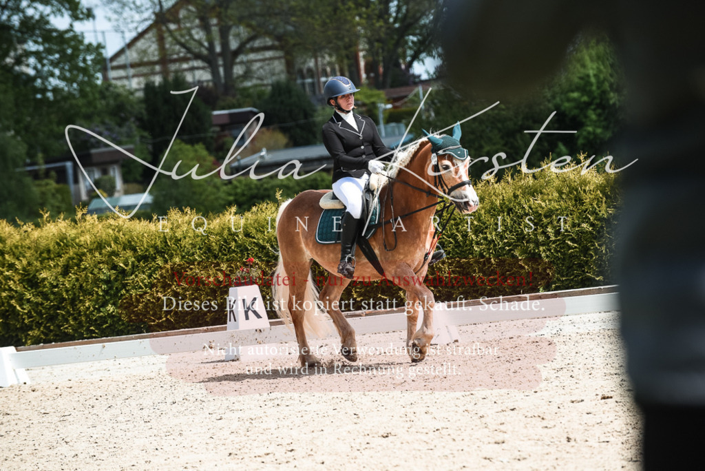 20230518_JK-Röhrsdorf-11-0518 | Pferde- und Turnierfotografie in Westsachsen. Pferdeportraits, Auftragszeichnungen und intuitive Kunst.