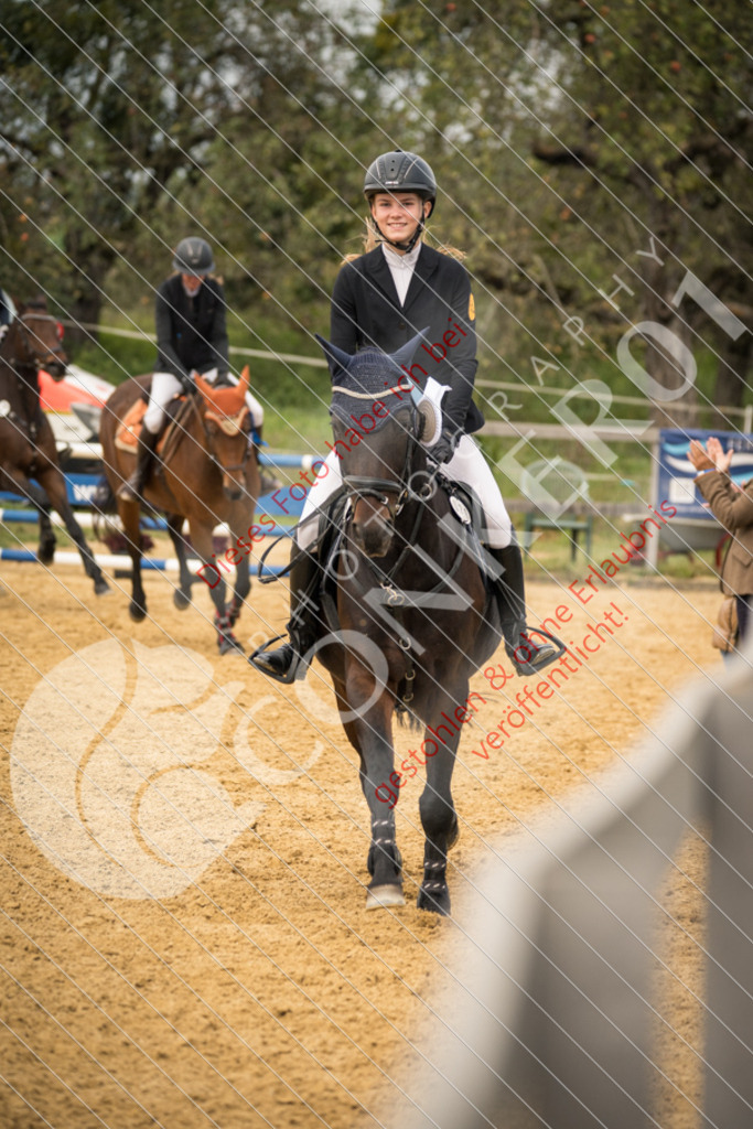 DSC_8516 | Sport-, Event- und Tierfotos in Profiqualität. Einfach auswählen, bestellen und herunterladen. Dein Moment – perfekt festgehalten.
