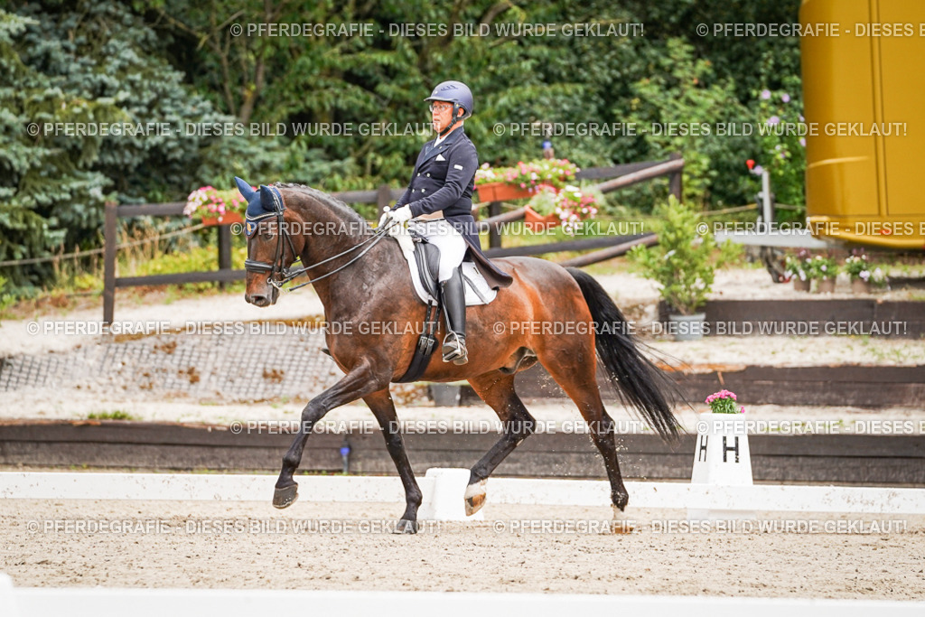 DSC04978 | Pferdegrafie