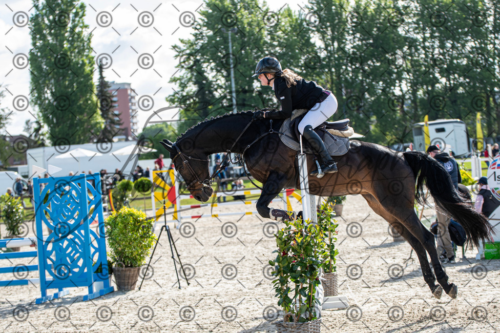 KPT_4554 | andre_photographic