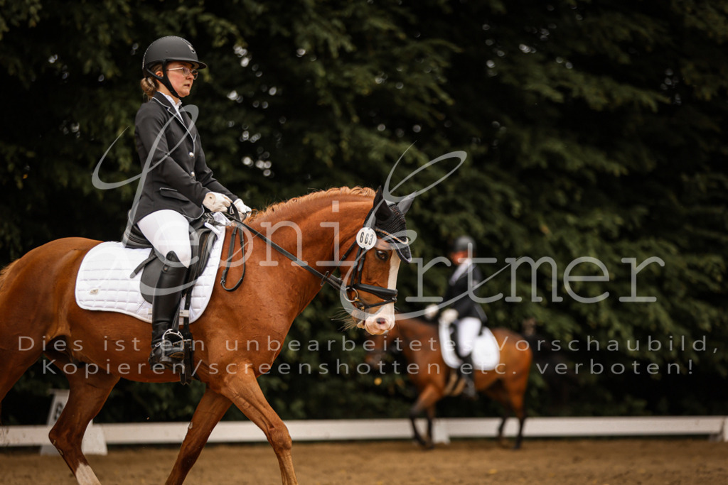 DoDrE00490 | Leoni Ertmer Photography - Realisiert mit Pictrs.com