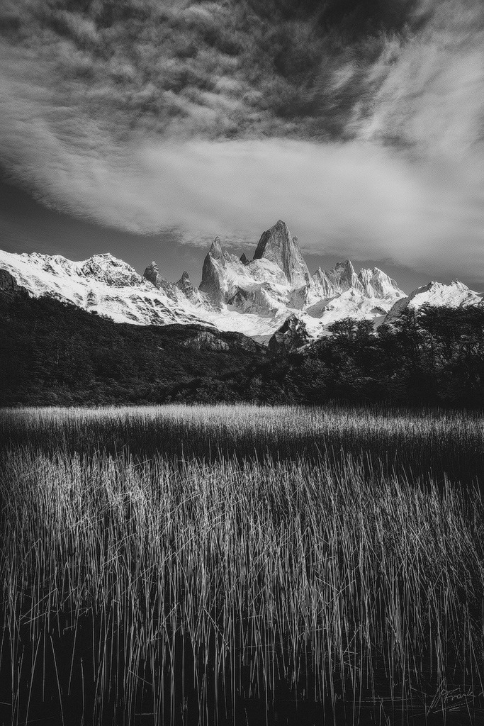 MFC_4922-Bearbeitet | Marcus Frank - Realisiert mit Pictrs.com