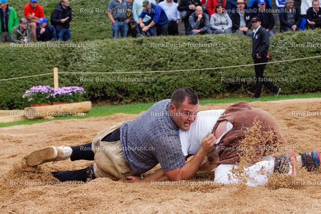 _DSC0225 | René Burch leidenschaftlicher Fotograf aus Kerns in Obwalden.  Hier finden sie Sport, Landschaft und Natur Fotografie.
 - Realisiert mit Pictrs.com