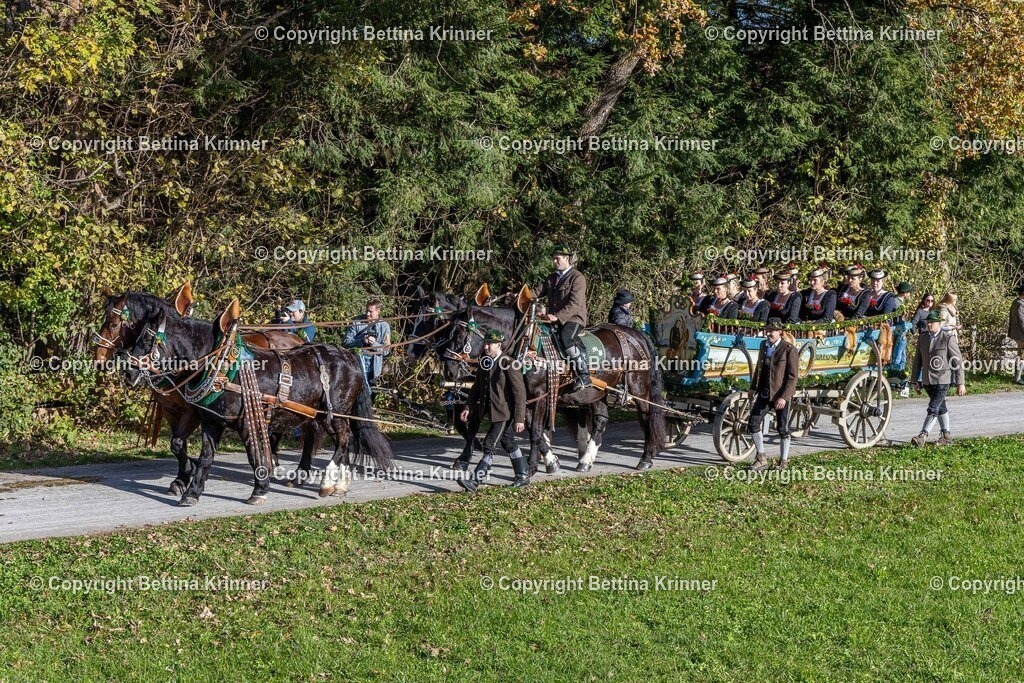 LBT24-879 | foto-bettina-krinner - Realisiert mit Pictrs.com