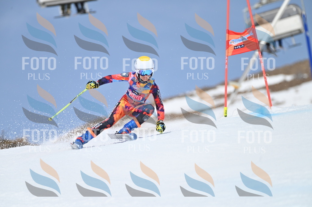 BGV_2024 | holidayphoto